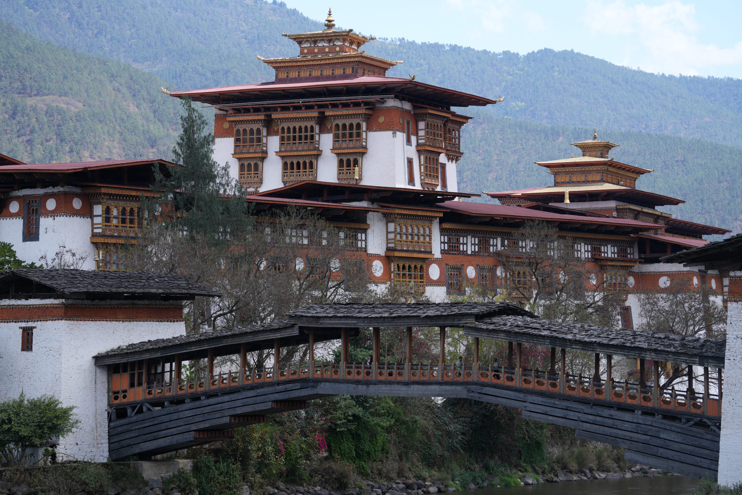 The Path of a Bhutanese Monk