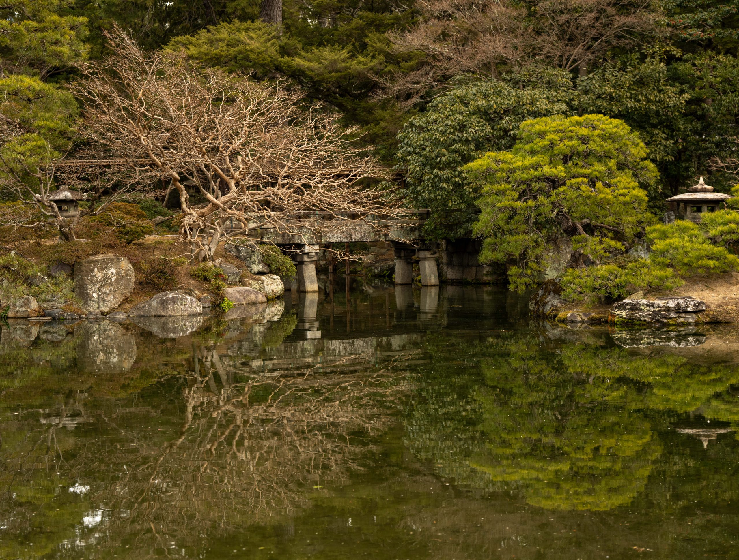 A tranquil pond in Kyoto Gyoen National Garden reflects a graceful stone bridge, sculpted pine trees, and a leafless winter tree. Traditional stone lanterns and lush greenery surround the water, creating a serene Japanese garden scene. Japan 2026