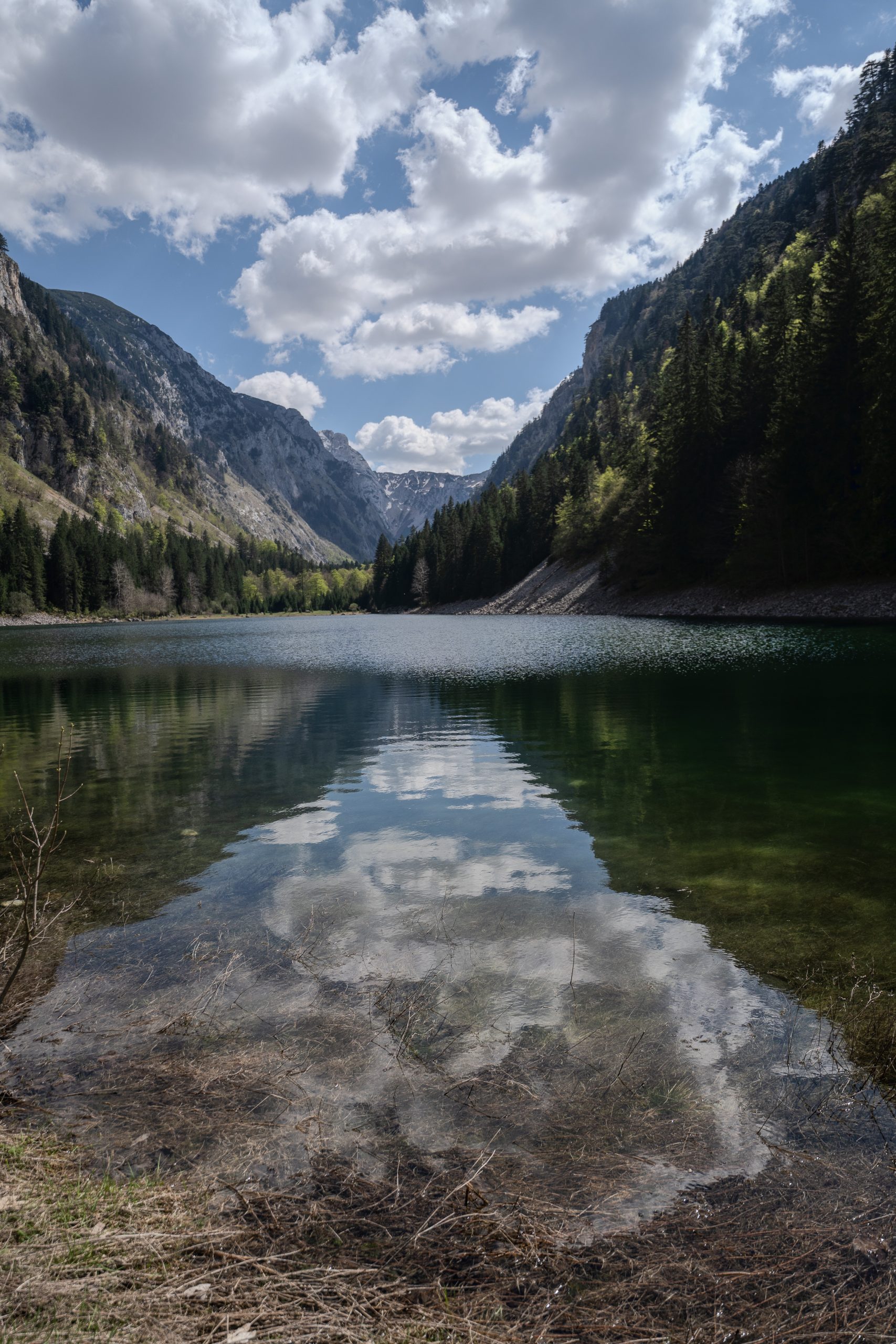 A crystal-clear mountain lake in Durmitor National Park, Montenegro, reflects towering forested slopes, rugged limestone peaks, and billowing white clouds beneath a bright blue sky. 2024